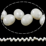 Perlas Arroz Freshwater, Perlas cultivadas de agua dulce, natural, Blanco, Grado A, 7-8mm, agujero:aproximado 0.8mm, longitud:aproximado 15 Inch, Vendido por Sarta