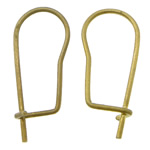 Brass Kidney Earwires, plated 