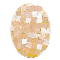 Yellow Shell Cabochon, Flat Oval, flat back 