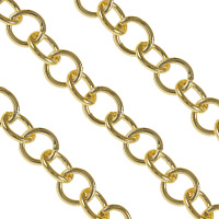 Iron Circle Chain