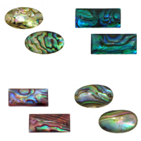 Abalone Shell Cabochon