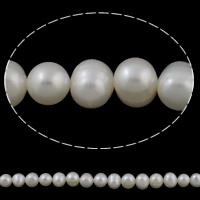 Potato Cultured Freshwater Pearl Beads, natural, white, 7-8mm Approx 0.8mm Approx 14.7 Inch 