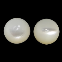 Cabujón de cáscara blanca, Nácar Blanca, Cúpula, espalda plana, 6x3mm, Vendido por UD