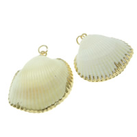 Trompette Shell pendentif en laiton, coquille de trompette, éventail, Placage de couleur d'or, 13-23mm, Vendu par PC