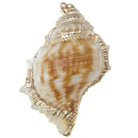 Trompette Shell pendentif en laiton, coquille de trompette, avec laiton, Placage de couleur d'or Environ 1mm, Vendu par PC