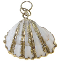 Trompette Shell pendentif en laiton, coquille de trompette, avec laiton, coquille, Placage de couleur d'or Environ 1.5mm, Vendu par PC