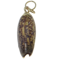 Trompette Shell pendentif en laiton, coquille de trompette, avec laiton, Placage de couleur d'or Environ 2mm, Vendu par PC