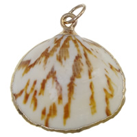 Trompette Shell pendentif en laiton, coquille de trompette, avec perle & laiton, coquille, Placage de couleur d'or Environ 4mm, Vendu par PC