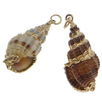 Trompette Shell pendentif en laiton, coquille de trompette, avec laiton, Placage de couleur d'or Environ 1.5mm, Vendu par PC