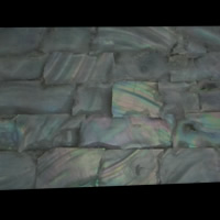 Abalone Shell Sheet, Rectangle 