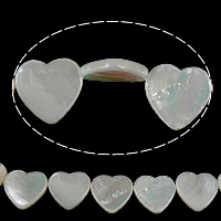 Abalorios de Nácar Blanca Natural, Corazón, 15x15x3mm, agujero:aproximado 1mm, longitud:aproximado 15.5 Inch, aproximado 27PCs/Sarta, Vendido por Sarta