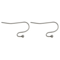 Stainless Steel Hook Earwire, original color 