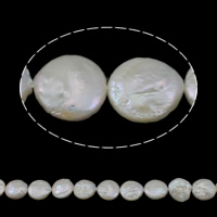 Perlas Moneda Freshwater, Perlas cultivadas de agua dulce, natural, Blanco, Grado A, 13-14mm, agujero:aproximado 0.8mm, longitud:aproximado 15.3 Inch, Vendido por Sarta