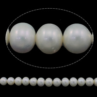 Perle comme Pommes de terre perles d'eau douce, perle d'eau douce cultivée, pomme de terre, naturel, blanc, grade AAA, 9-10mm Environ 0.8mm Environ 15 pouce, Vendu par brin