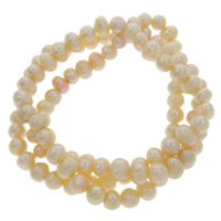 Cultured Freshwater Pearl Bracelets , 6-7mm Inch 