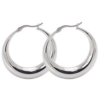 Titanium Steel Hoop Earring, Donut, original color 