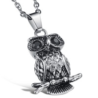 Pendentifs en titane, Acier titane, hibou, avec zircone cubique & noircir Environ 2-5mm Vendu par sac