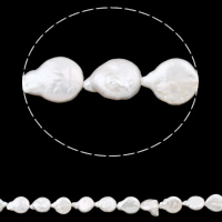 Perlas Keishi Cultivadas de Agua Dulce, Perlas cultivadas de agua dulce, Moneda, natural, Blanco, 9x13mm, agujero:aproximado 0.8mm, longitud:aproximado 15 Inch, Vendido por Sarta