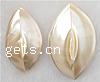 Shell Beads 38-43mm