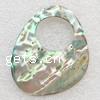 Abalone Pendant Mosaic Shell Pendant, Other Shape Approx 19MM 