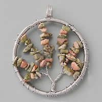 Pendentifs Unakites, unakite, avec laiton, Plat rond, Placage de couleur platine, 49mm Environ Approx 6mm, Vendu par PC