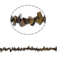 Gemstone Chips, Tiger Eye, 5-13mm Approx 0.8mm Approx 34.6 Inch, Approx 