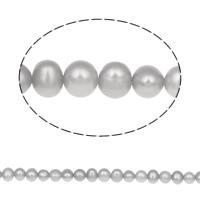 Potato Cultured Freshwater Pearl Beads, natural, grey, Grade AA, 4.5-5mm Approx 0.8mm .5 Inch 