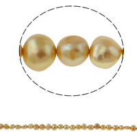 Baroque Cultured Freshwater Pearl Beads, gold, 8-9mm Approx 0.8mm Approx 14.5 Inch 