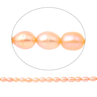 Perlas Arroz Freshwater, Perlas cultivadas de agua dulce, natural, Rosado, 9-10mm, agujero:aproximado 0.8mm, longitud:aproximado 14.5 Inch, Vendido por Sarta