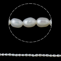 Perlas Arroz Freshwater, Perlas cultivadas de agua dulce, natural, Blanco, 3-4mm, agujero:aproximado 0.8mm, longitud:aproximado 15 Inch, Vendido por Sarta