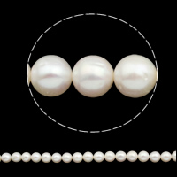 Round Cultured Freshwater Pearl Beads, natural  Grade AA, 10-11mm 