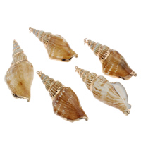 Trompette Shell pendentif en laiton, coquille de trompette, hélice, Placage de couleur d'or, 56~63X21~27mm, Vendu par PC