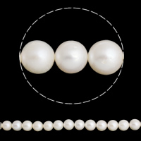 Round Cultured Freshwater Pearl Beads, natural, white, Grade A, 11-12mm Approx 0.8mm Approx 15.5 Inch 