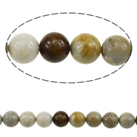 Perles de corail fossiles, Rond, normes différentes pour le choix Environ 1mm Environ 15.5 pouce, Vendu par brin