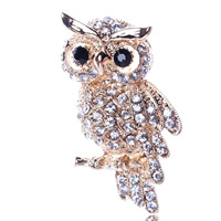 Rhinestone Zinc Alloy Brooch, with Iron, Owl, 18K gold plated, with rhinestone, nickel, lead & cadmium free 