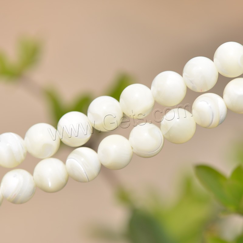 Trochus Beads, Round, plated, different size for choice, white, Hole:Approx 1mm, Length:Approx 15.5 Inch, Sold By Strand