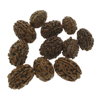 DIY Buddha Beads, Rudraksha, Oval - Approx 2mm 