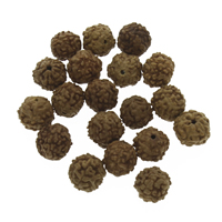 Abalorios Budistas, Rudraksha, Esférico, 6-9mm, agujero:aproximado 0.5mm, Vendido por UD