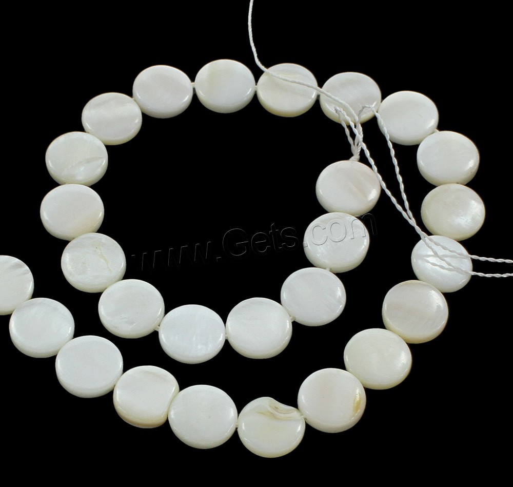 Perles en coquillage blanc naturel, coquille blanche, Plat rond, normes différentes pour le choix, Trou:Environ 0.5mm, Longueur:Environ 15 pouce, Vendu par brin