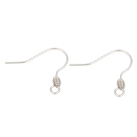 Stainless Steel Hook Earwire, original color 