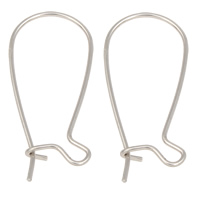 Stainless Steel Kidney Earwires, original color 