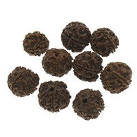 DIY Buddha Beads, Rudraksha, original color - Approx 1.5mm 