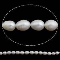 Rice Cultured Freshwater Pearl Beads, natural, white, 10-11mm Approx 0.8mm Approx 15 Inch 