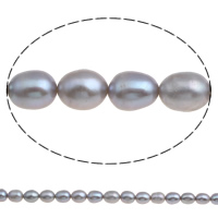 Rice Cultured Freshwater Pearl Beads, grey, 8-9mm Approx 0.8mm Approx 15.5 Inch 