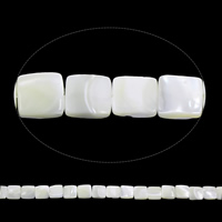 Abalorios de Nácar Blanca Natural, Cuadrado, 10x3mm-10x4mm, agujero:aproximado 1mm, longitud:aproximado 15.5 Inch, aproximado 40PCs/Sarta, Vendido por Sarta