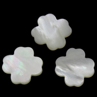 White Shell Cabochon, Flower, natural, flat back, white 