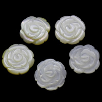 White Shell Cabochon, Flower, natural, flat back, white 