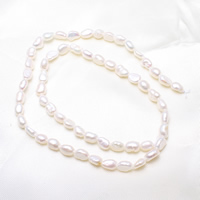 Baroque Cultured Freshwater Pearl Beads, natural, white, 4-5mm Approx 0.8mm Approx 14.5 Inch 