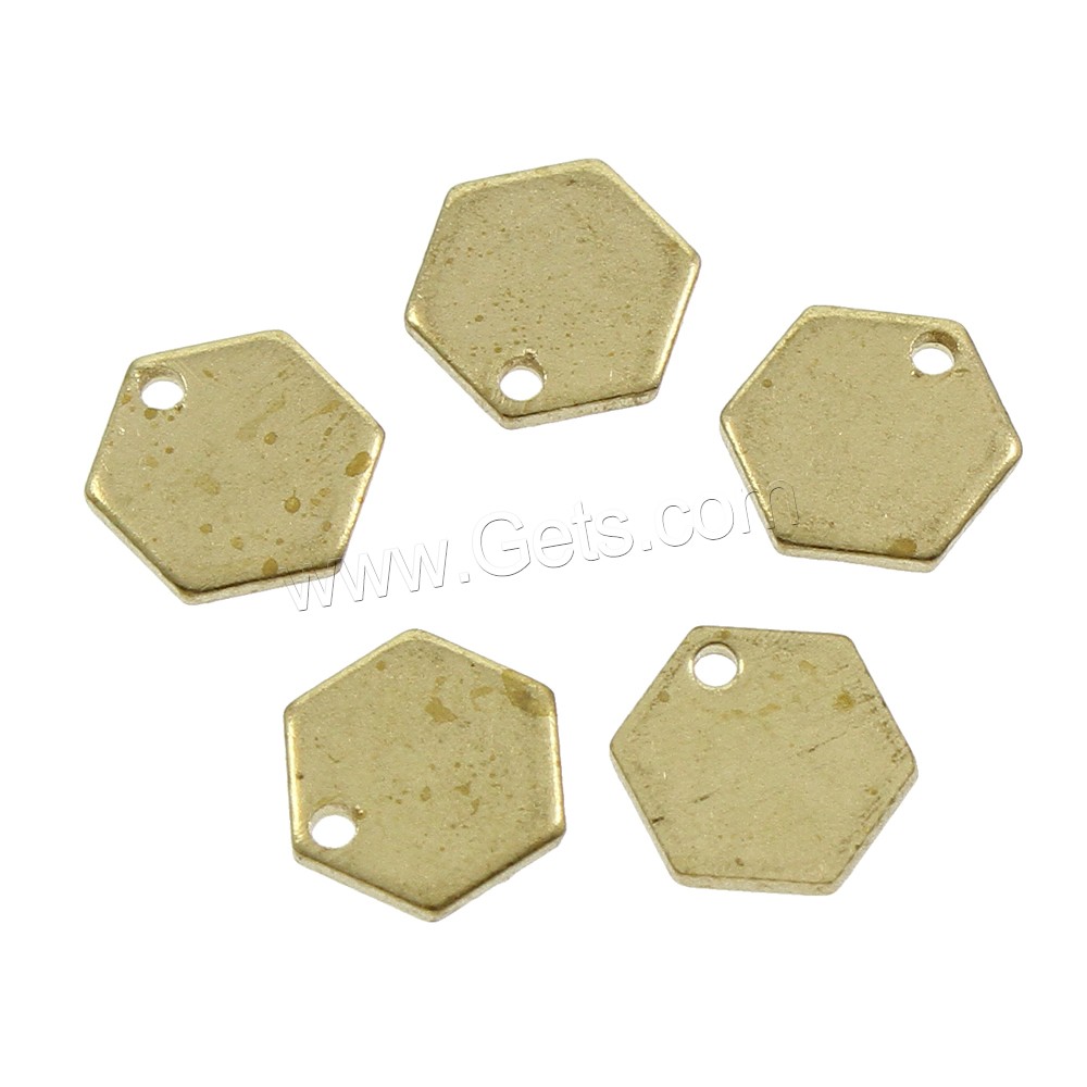 Bijoux pendentifs en laiton, hexagone, normes différentes pour le choix, couleur originale, protéger l'environnement, sans nickel, plomb et cadmium, Trou:Environ 1.5mm, 200PC/sac, Vendu par sac