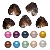 Freshwater Cultured Love Wish Pearl Oyster, Potato, mother of Pearl, mixed colors, 7-8mm [